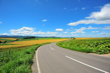 Rural Road at Countryside of Hokkaido, Japan