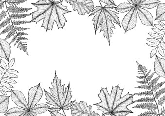 Fototapeta na wymiar autumn leaves background with space for text.