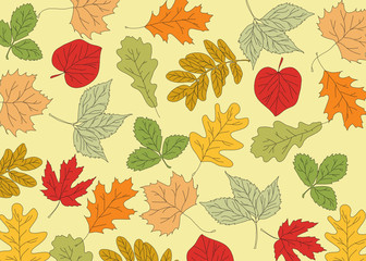 autumn background