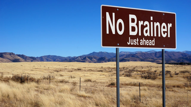 No Brainer brown road sign