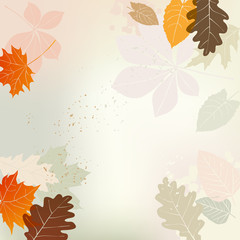 Fototapeta na wymiar Autumn background with multicolored leaves