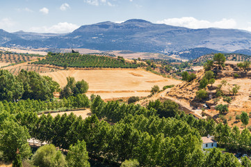 Fototapeta na wymiar Sunny view of countryside fields near Ronda, Malaga province, Spain.