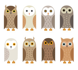Vector owl characters set. Owl icons. Barn owl, snowy owl, burrowing owl, West American owl, eagle owl, long-eared owl, tawny owl, the North American owl.