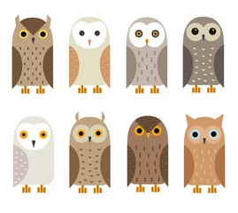 Rolgordijnen zonder boren Vector uil tekens instellen. Uil pictogrammen. Kerkuil, sneeuwuil, graafuil, West-Amerikaanse uil, oehoe, ransuil, bosuil, de Noord-Amerikaanse uil. © Anna Isaeva