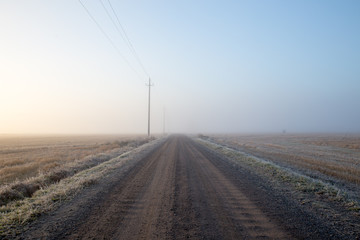 Cold Misty Morning at  Rural Road Surrounded by Harvested Fields