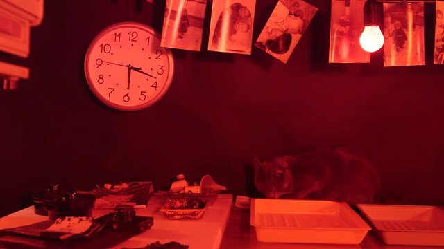 Photo lab at home traditional red dark room for black and white film processing