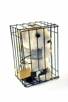 Teddy bear in a prison cell. Locked door. Isolated in white background.