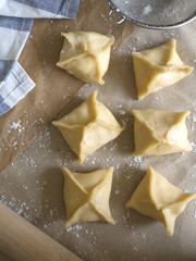 Wonton homemade