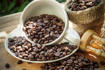 roasted coffee beans