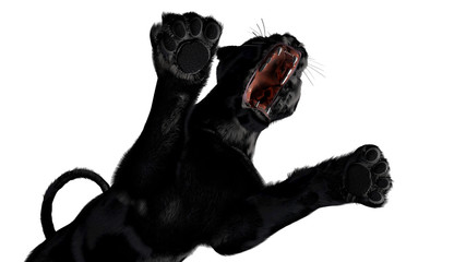 The image of a black panther  3D illustration © Sergey Drozdov
