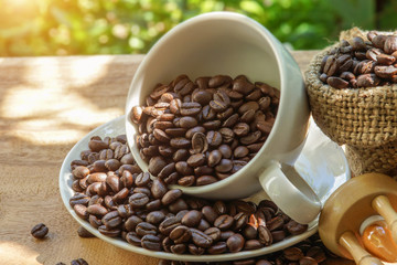 roasted coffee beans