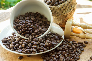 roasted coffee beans