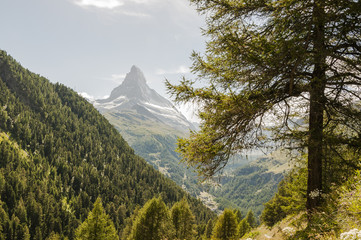 Zermatt, Dorf, Bergdorf, Findeln, Findelbach, Findellschlucht, Lärchenwald, Wanderweg, Alpen, Schweizer Berge, Wallis, Sommer, Schweiz