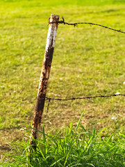 rusty metal barbed wires on old and decayed metal pole with grasses