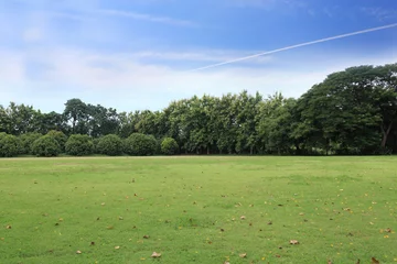 Vitrage gordijnen Platteland landscape of grass field and green environment public park use as natural background,backdrop