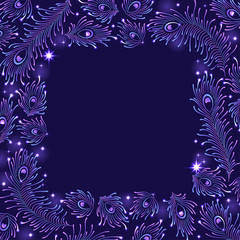 Frame With Peacock Feather