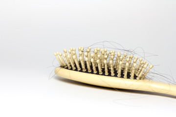 beautiful,object,isolate