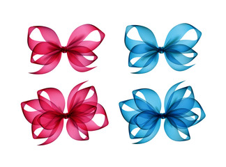 Set of Colored Bright Pink Light Blue Transparent Gift Bows
