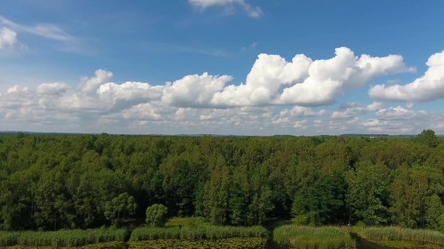 Summer time lake and green forest, white clouds over blue sky in Poland lanscape.