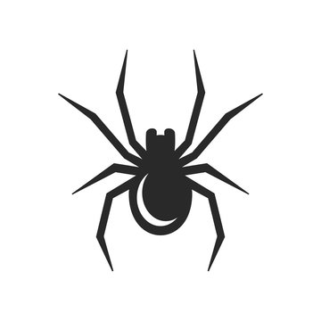 Black Spider Icon. Vector
