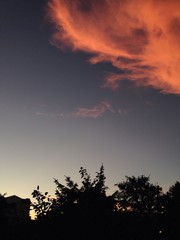 dramatic evening sky