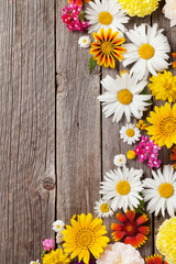 Obraz premium Garden flowers over wooden background