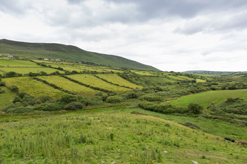 farmland fields at wild atlantic way in ireland