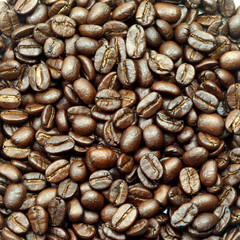 roasted coffee beans