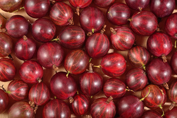 Fresh red gooseberry close up as background