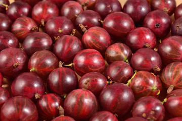 Fresh red gooseberry close up as background