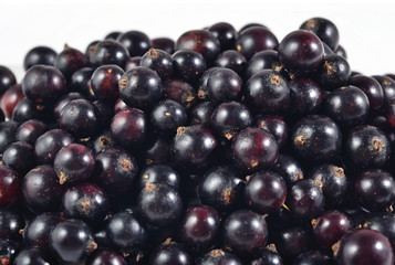 Heap of fresh black currant close up on a white