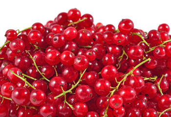 Heap of fresh red currant close up on a white