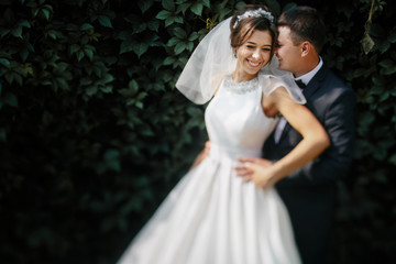 beautiful and young couple standing together near the green bush