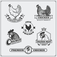 Fototapeta na wymiar Collection of Chicken meat labels, badges, emblems and design elements.