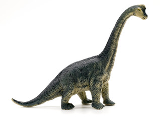 Brachiosaurus dinosaurs toy on white background