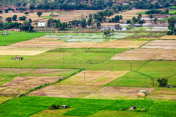 Fototapeta na wymiar Aeiral view of Indian countryside with rice paddies, Tamil Nadu,