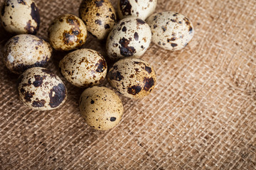Quail eggs on sackcloth