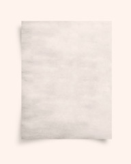 blank paper (Vintage filter)