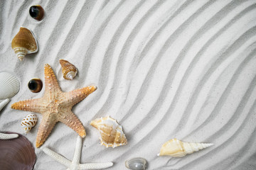 Fototapeta na wymiar Beach with a lot of seashells and starfish