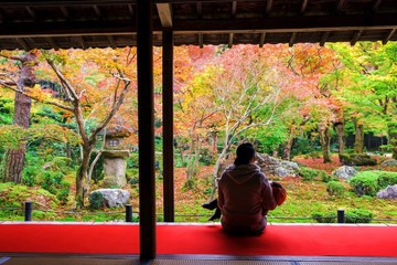 Naklejka premium fall color at Enkoji temple, Kyoto