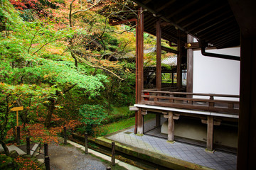 Fototapeta premium Eikando temple in autumn