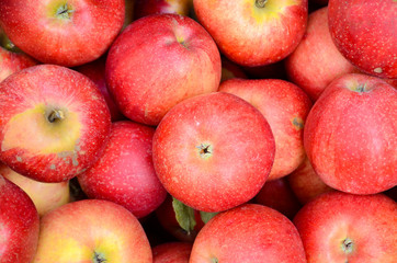 Fototapeta na wymiar fresh red apples background