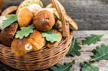 Fresh mushrooms in basket, porcini from forest on rustic backgro