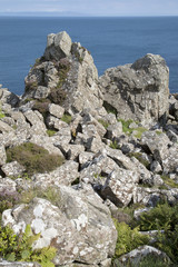 Rocks at Murlough Beach; County Antrim
