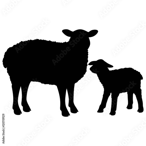 "Sheep Silhouette" Stock image and royalty-free vector files on Fotolia