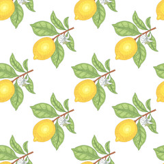 Panele Szklane Podświetlane  Ilustracja cytryn. Bezszwowe wektor wzór. Owoce na białym tle.