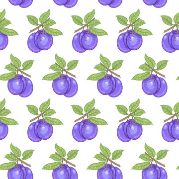 Seamless pattern with plums berries