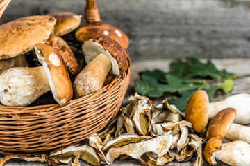 Dried mushrooms and fresh harvested porcini mushroom in a basket