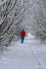 winter snow sport man run in tree park