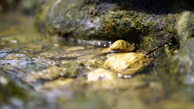 River, Mountain River, Creek, Stones and Water, Close Up